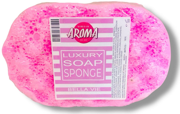 FULLY LOADED SOAP SPONGES