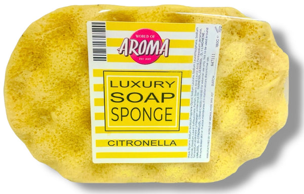 FULLY LOADED SOAP SPONGES