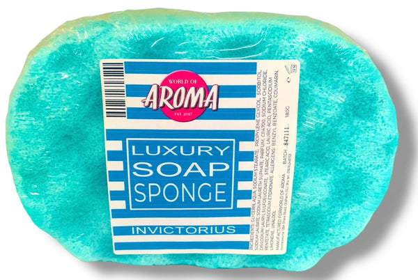 FULLY LOADED SOAP SPONGES